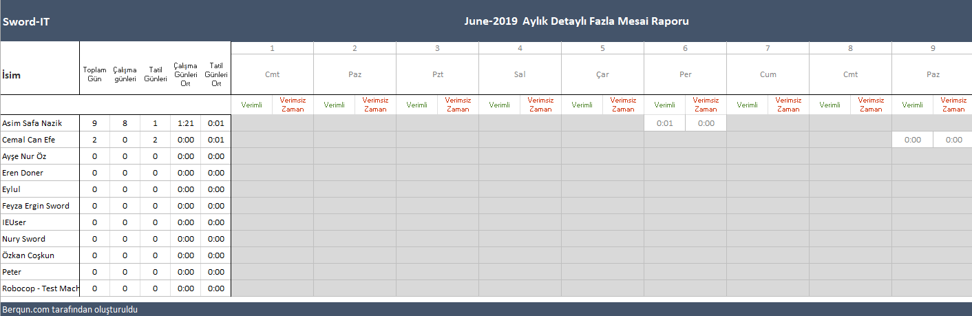 Monthly Overtime Excel report