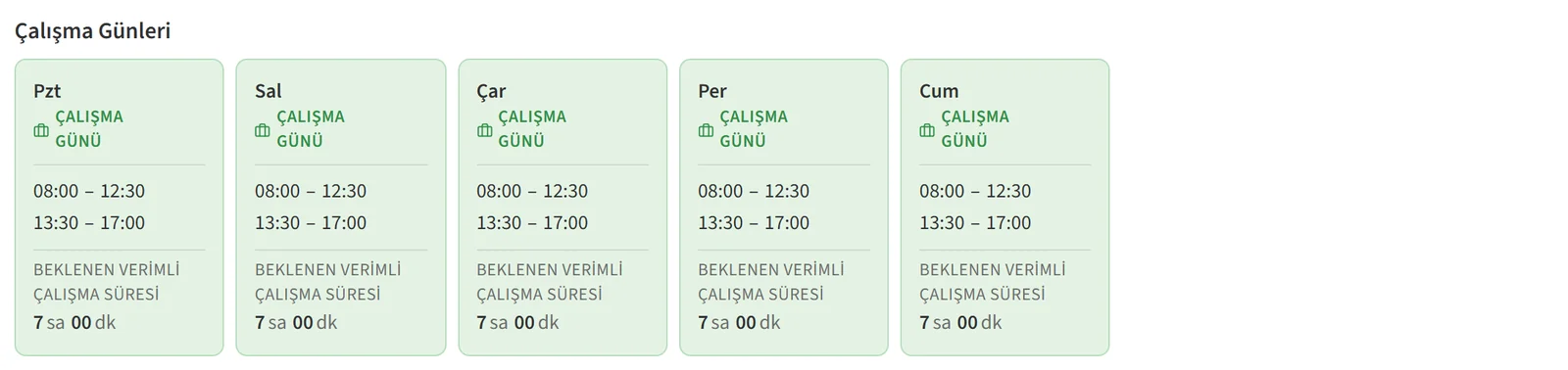 Çalışma Günleri bölümündeki gün kartları