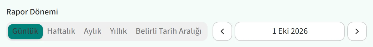 Rapor Dönemi seçimi