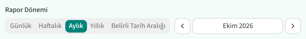 Rapor Dönemi seçimi