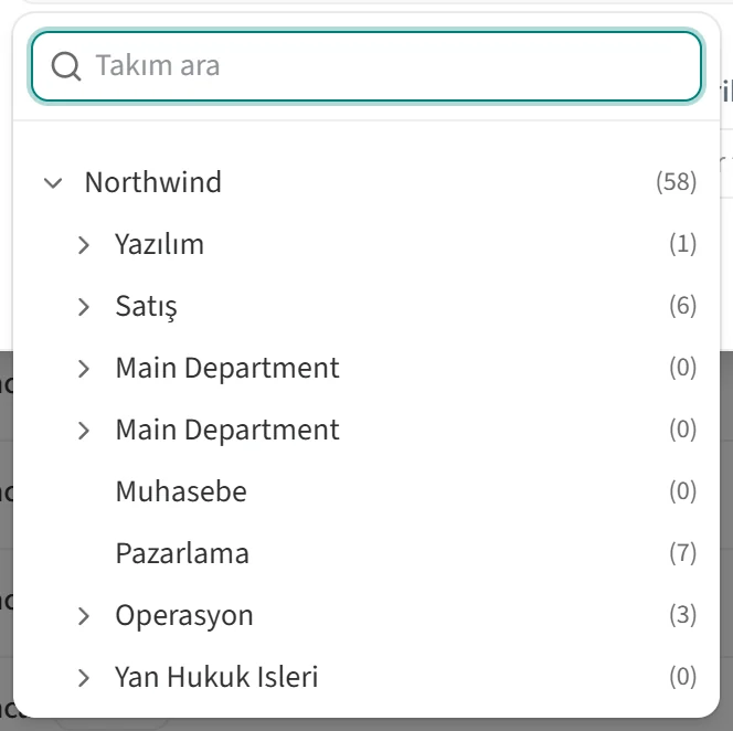Takım seçim listesi