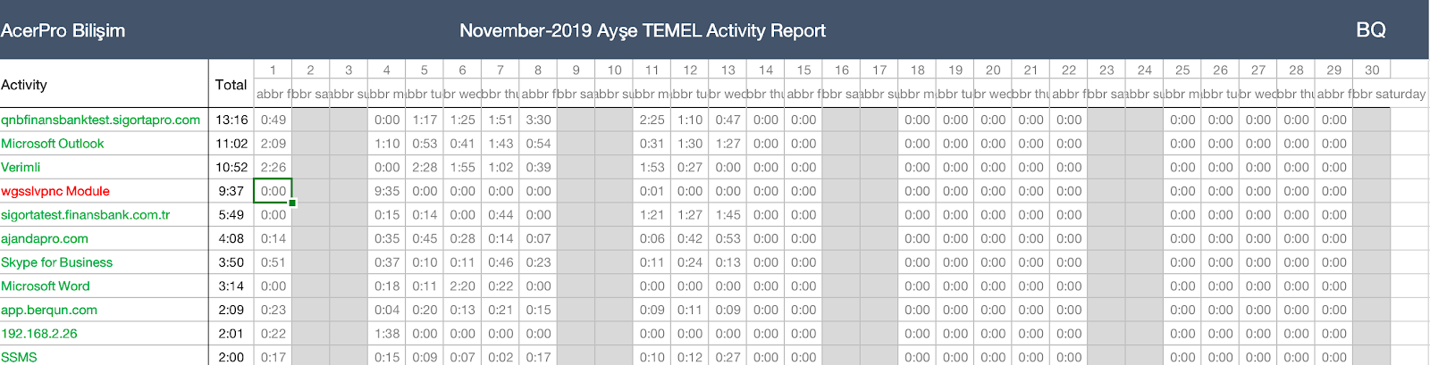 Staff Activity Excel report